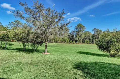 3138 Dark Sky Drive Harmony FL 34773