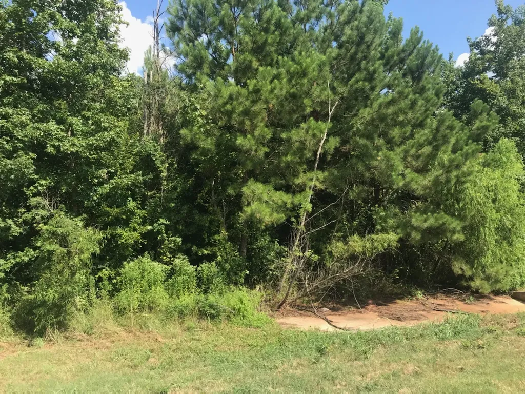 Tbd S Hwy 59 Highway Linden TX 75563