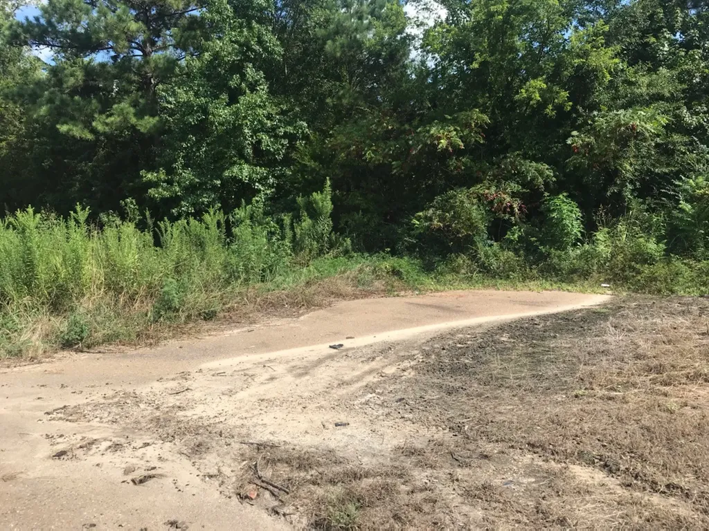 Tbd S Hwy 59 Highway Linden TX 75563
