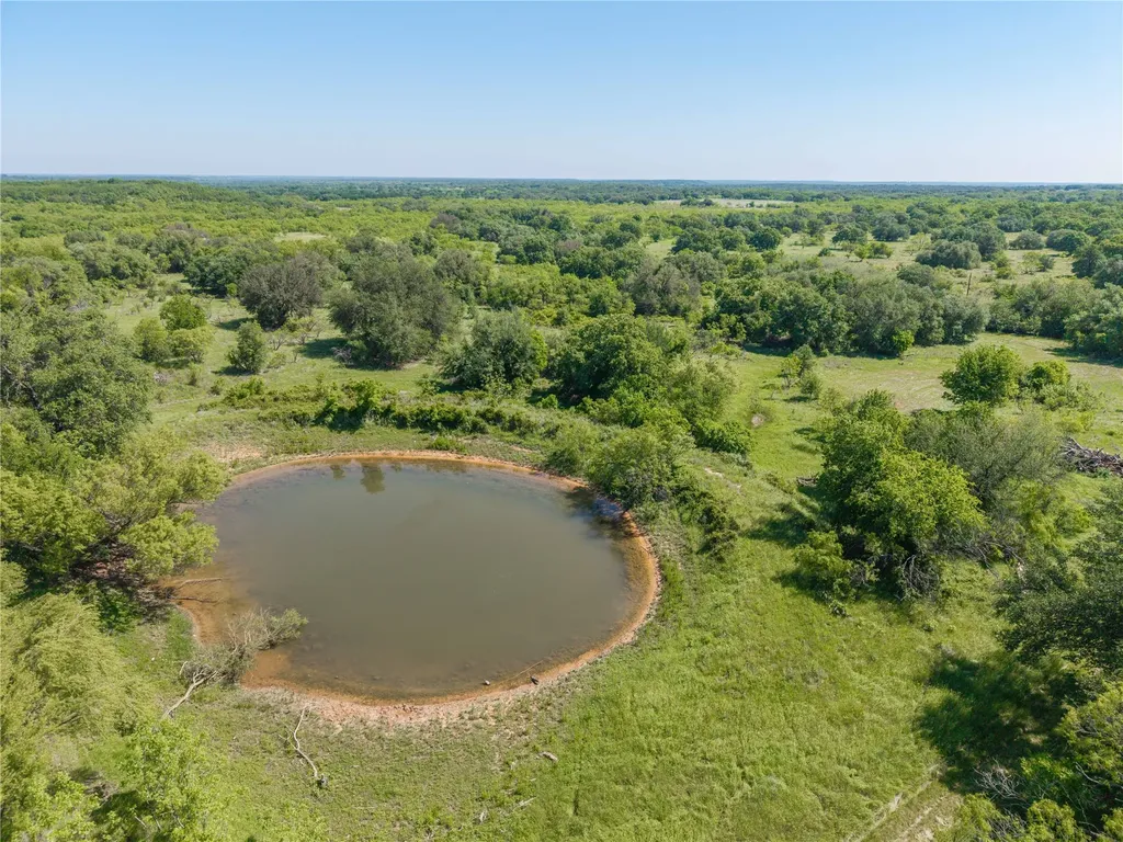 91 Acres Co Road 370 Carbon TX 76435