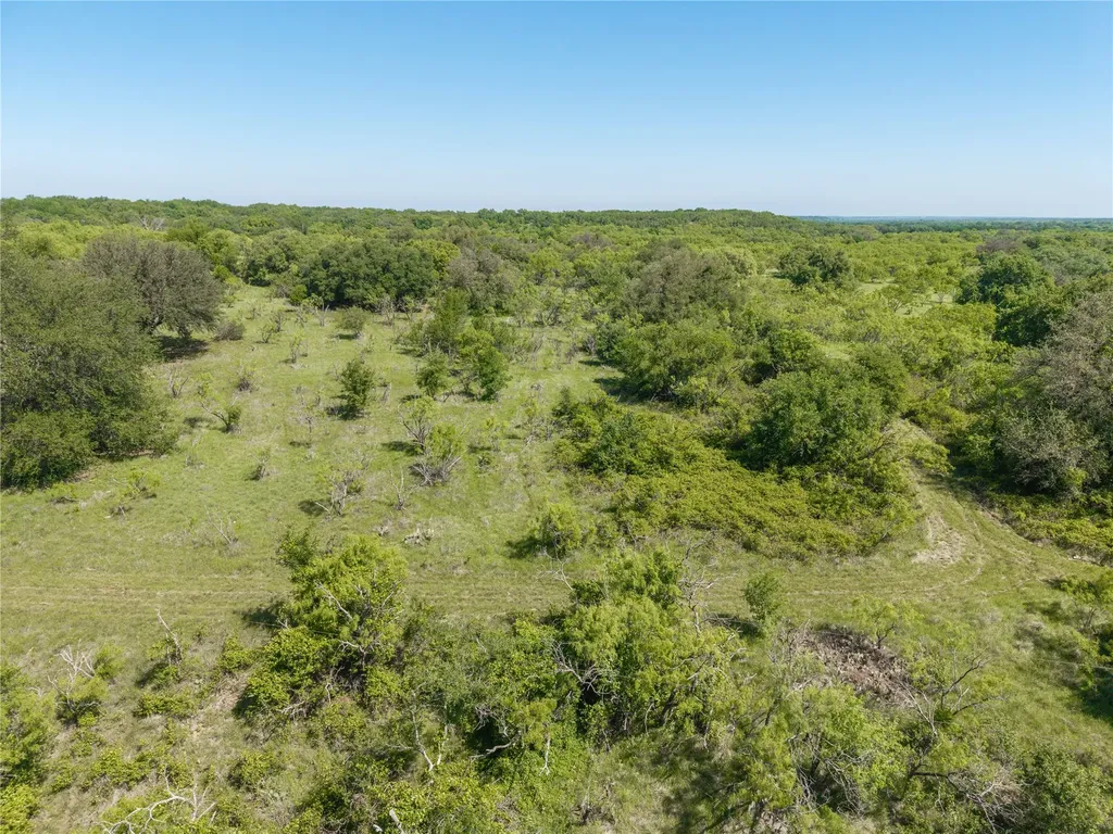 91 Acres Co Road 370 Carbon TX 76435