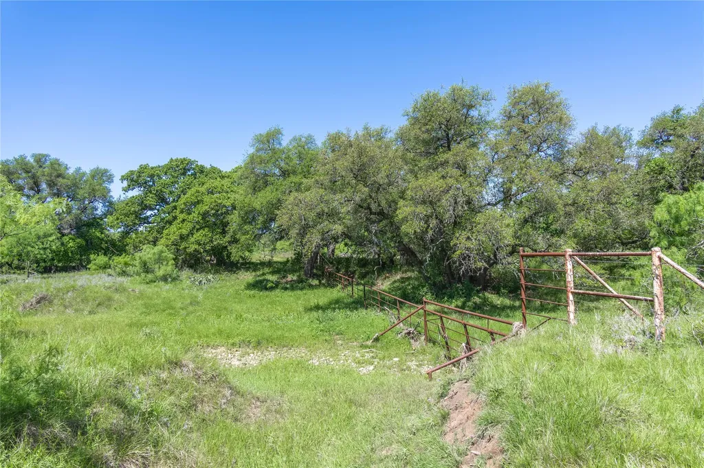 91 Acres Co Road 370 Carbon TX 76435