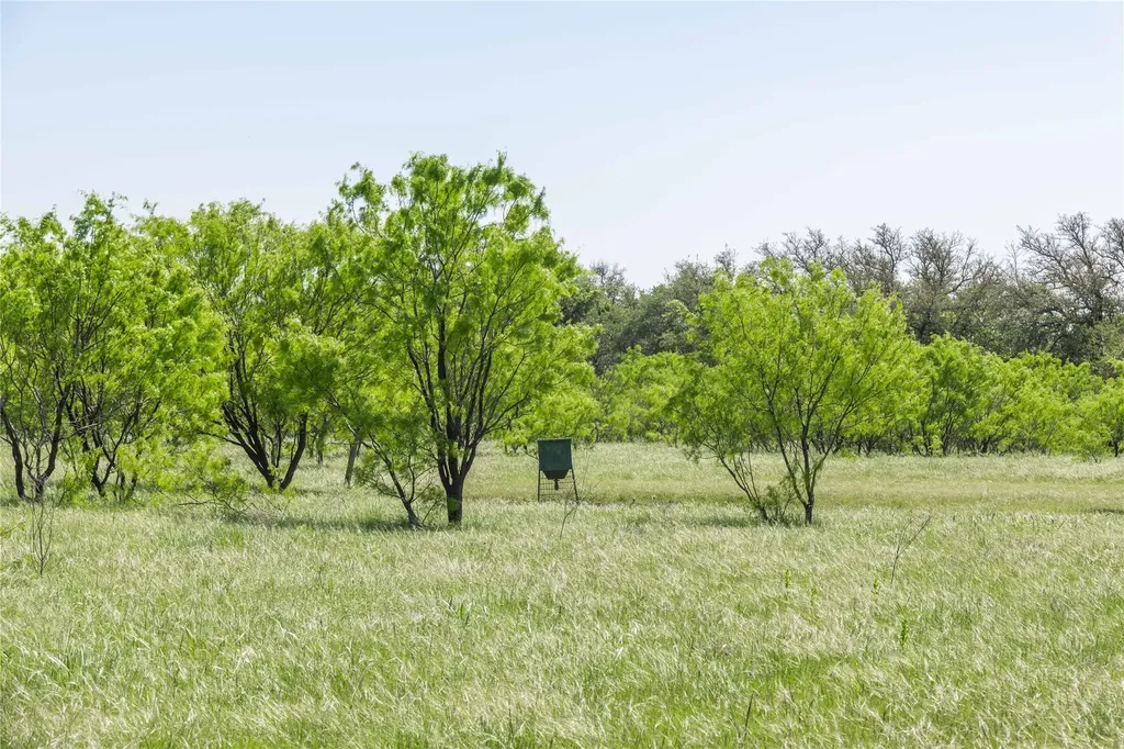 91 Acres Co Road 370 Carbon TX 76435