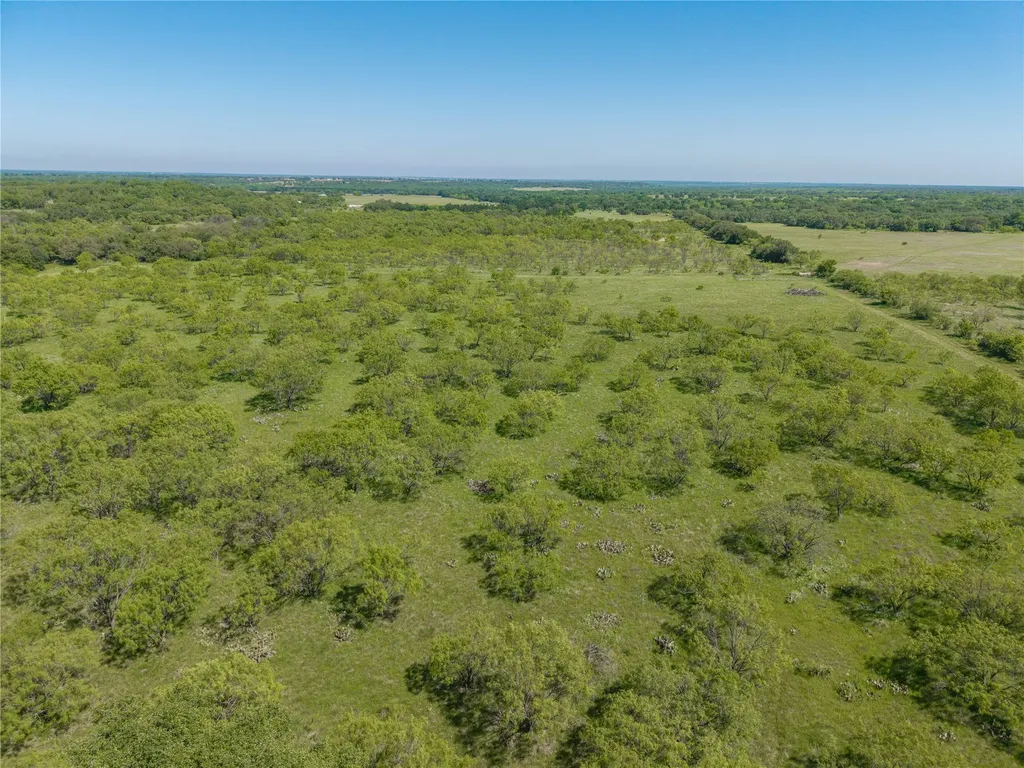 91 Acres Co Road 370 Carbon TX 76435