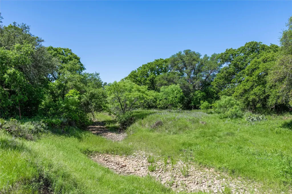 91 Acres Co Road 370 Carbon TX 76435