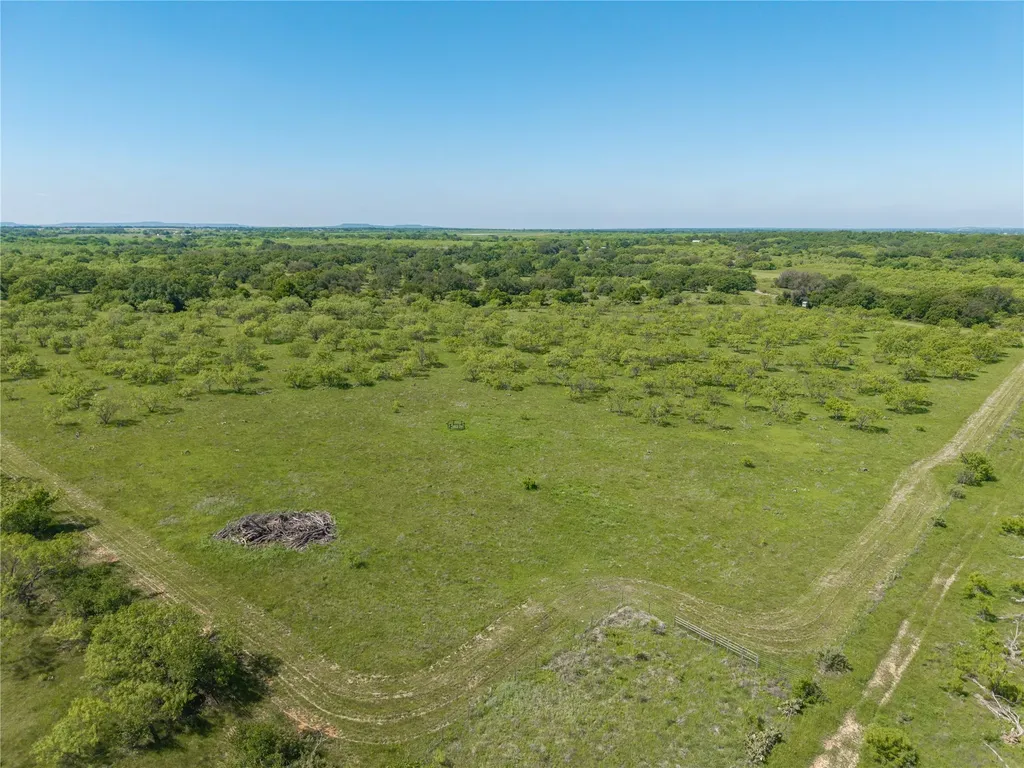 91 Acres Co Road 370 Carbon TX 76435