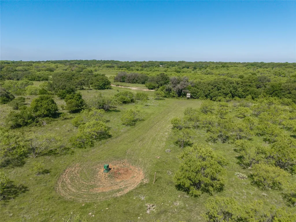 91 Acres Co Road 370 Carbon TX 76435