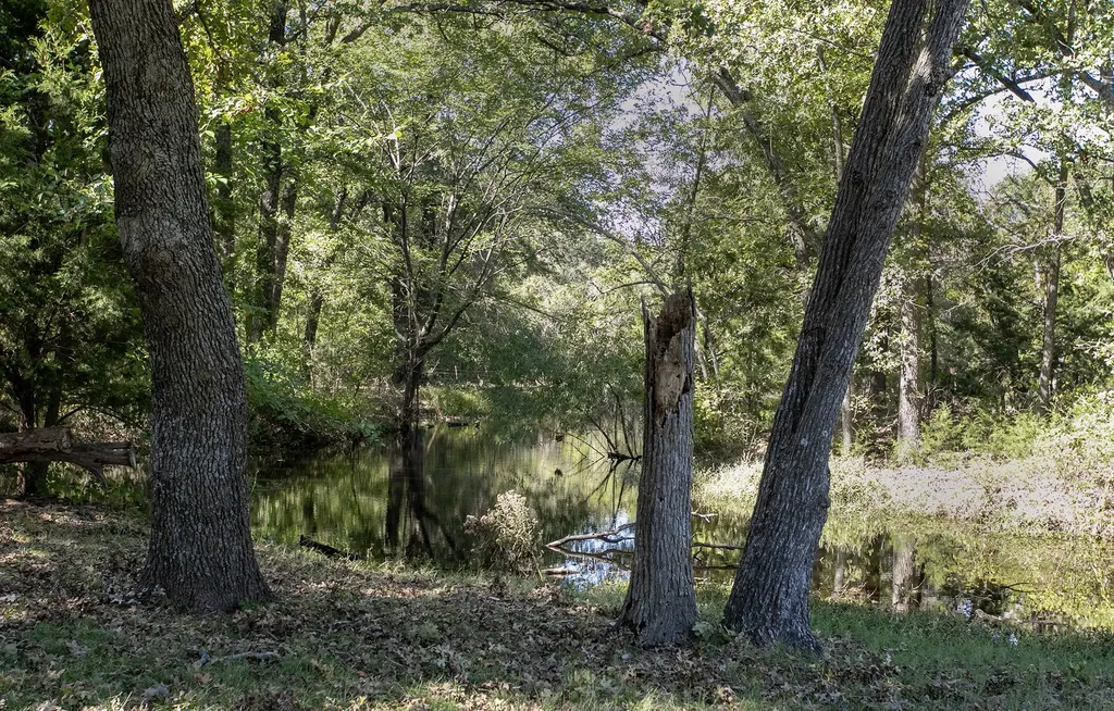 16300 County Road 255 Poetry TX 75160