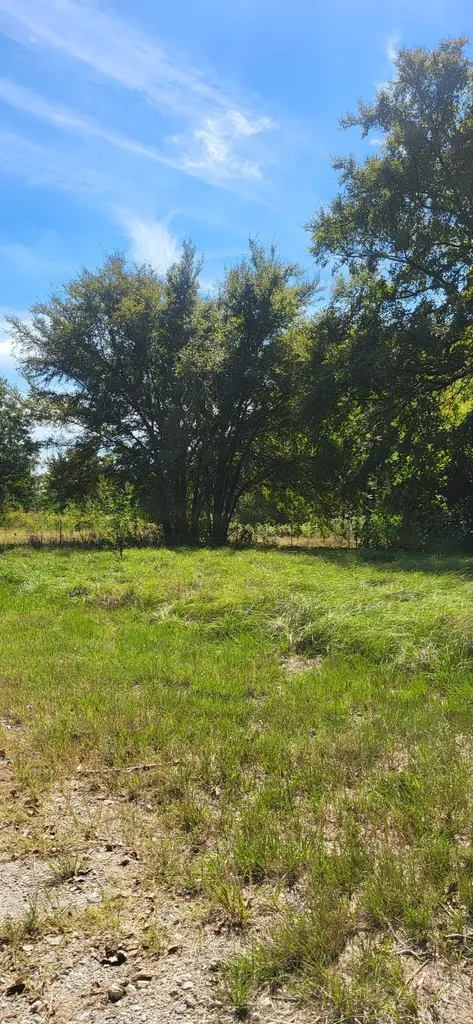 28901 County Road 2100 Kemp TX 75143