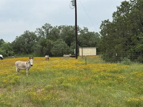 12550 County Road 136 Ranger TX 76470