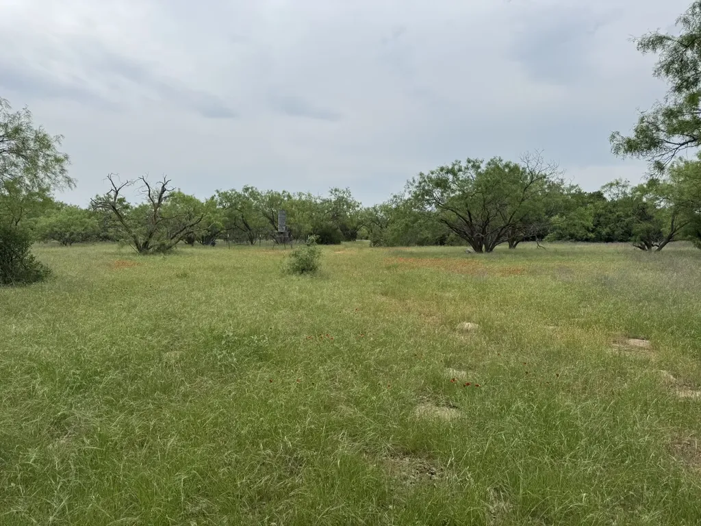 12550 County Road 136 Breckenridge TX 76470