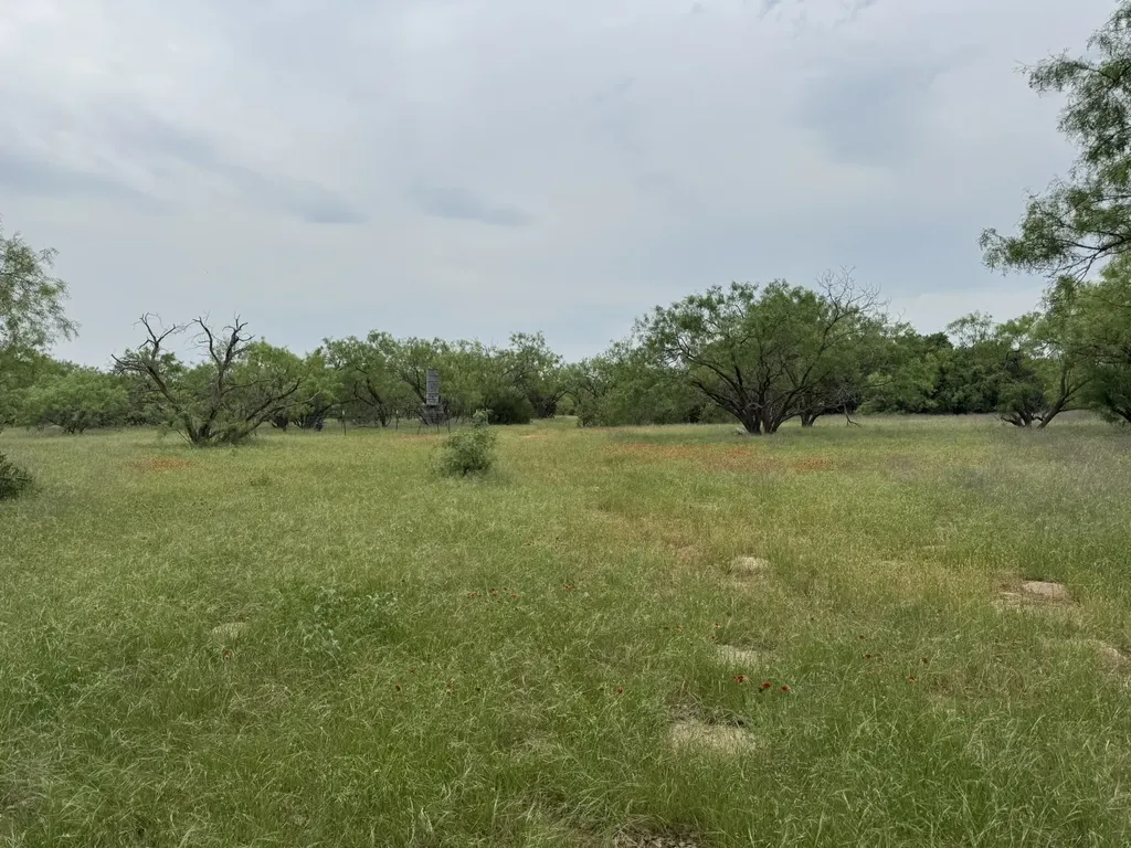 12550 County Road 136 Breckenridge TX 76470