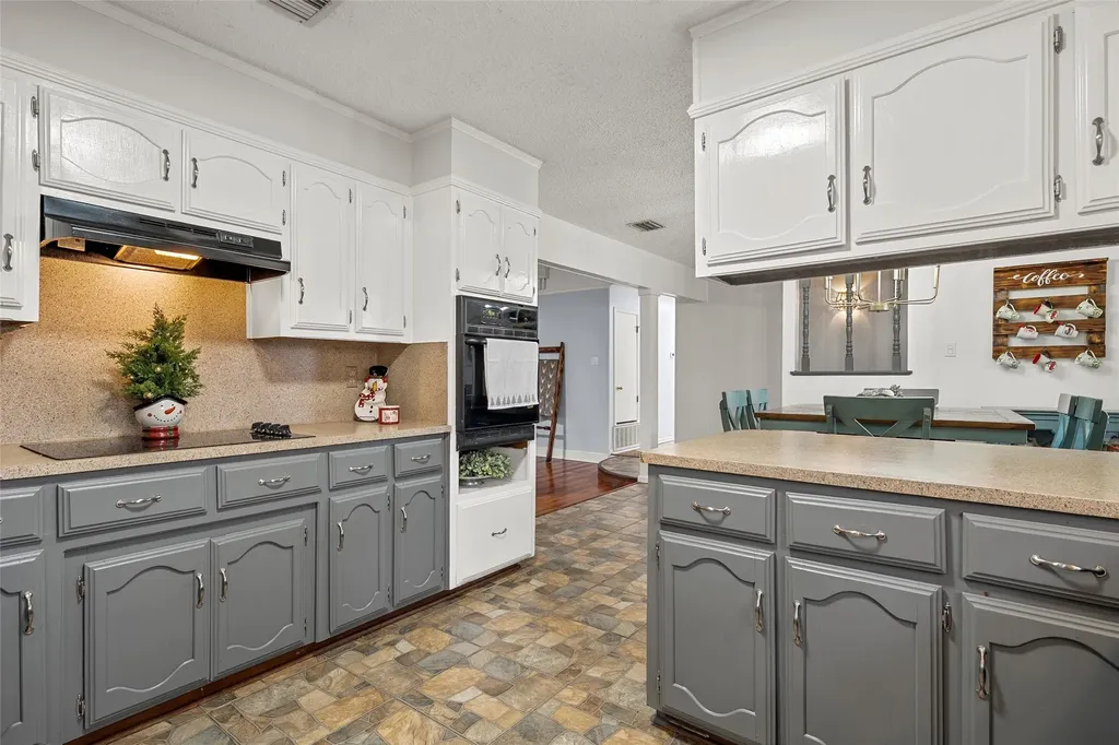 107 Woody Ray Drive Elm Mott TX 76640