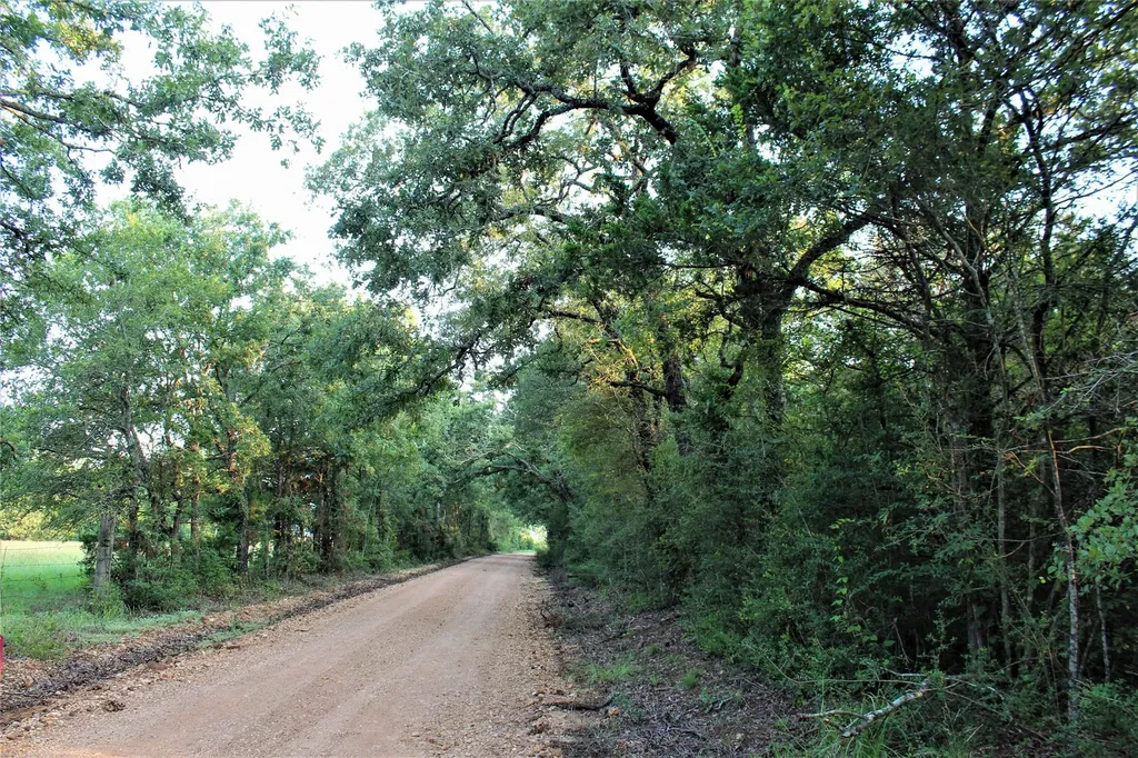 29 Co Rd 271a Cameron TX 76520