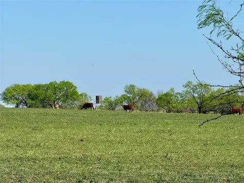 9455 County Road 189 Bangs TX 76823