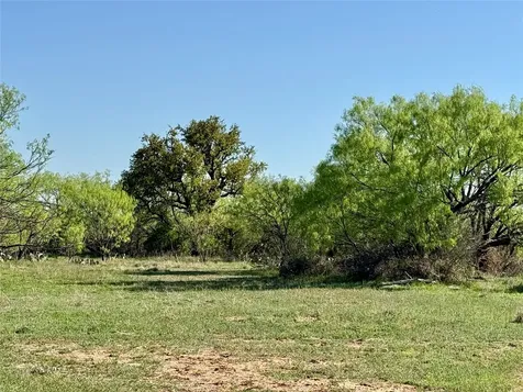 9455 County Road 189 Bangs TX 76823