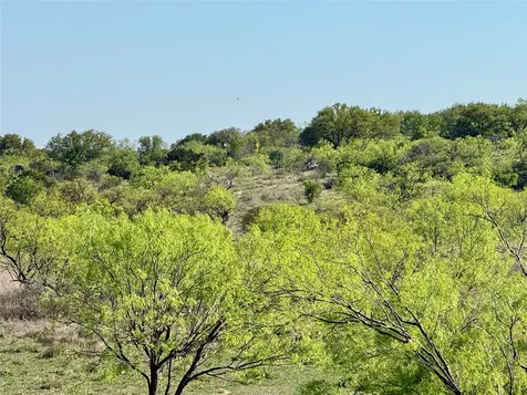 9455 County Road 189 Bangs TX 76823