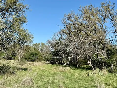 9455 County Road 189 Bangs TX 76823