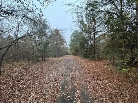 6229 County Road 21 Tyler TX 75707