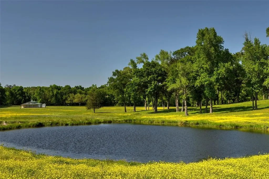 1765 Crabapple Big Sandy TX 75755