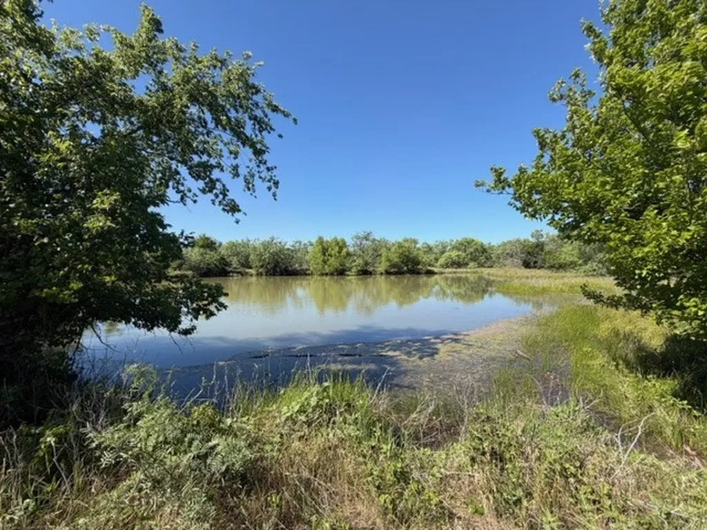 Tbd County Road 154 Breckenridge TX 76424