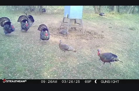 Tbd County Road 154 Breckenridge TX 76424