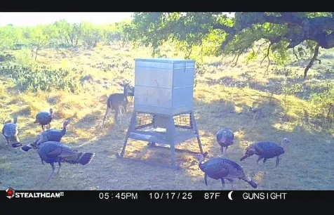 Tbd County Road 154 Breckenridge TX 76424