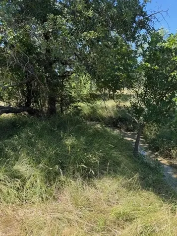 Tbd County Road 154 Breckenridge TX 76424