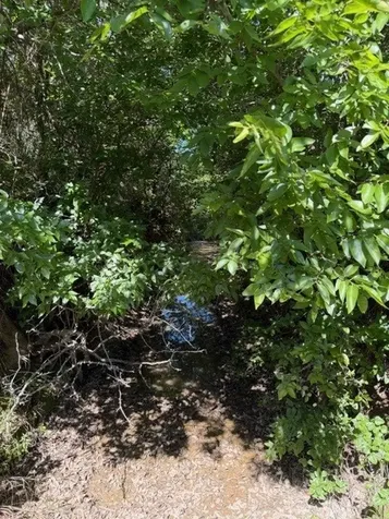 Tbd County Road 154 Breckenridge TX 76424