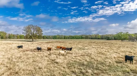 Tbd Cr 3140 Cooper TX 75432