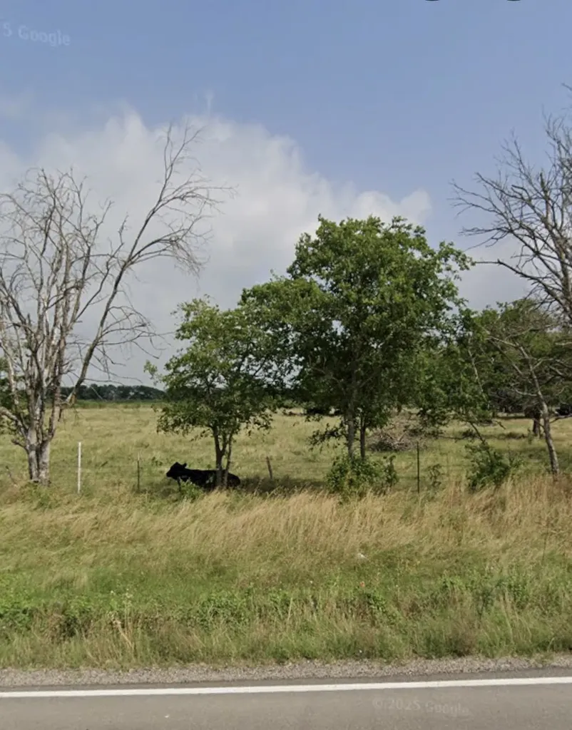 1105 Bell Street Coolidge TX 76635
