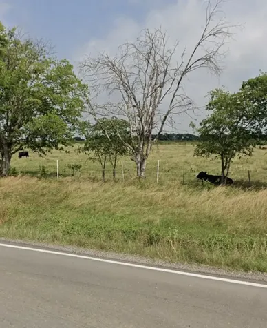 1105 Bell Street Coolidge TX 76635