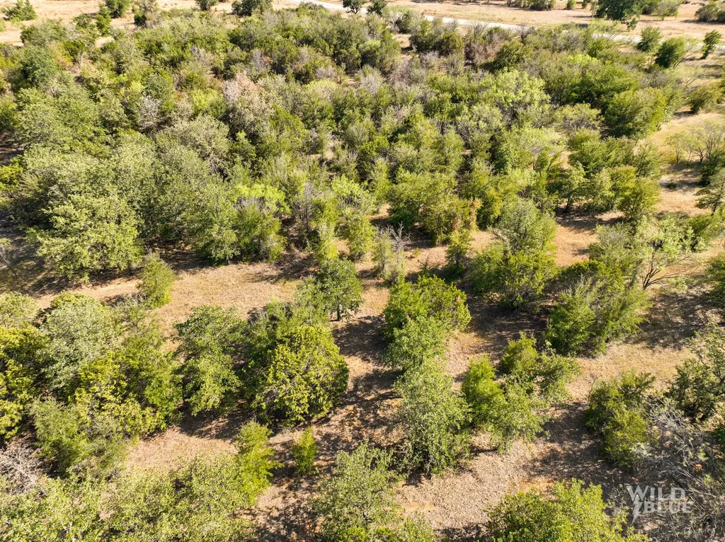 Tbd Lot 25 New Hope Road Santo TX 76484