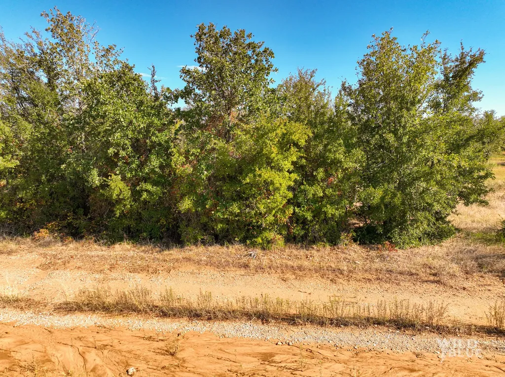Tbd Lot 25 New Hope Road Santo TX 76484