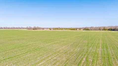 000 Cr 3140 Pecan Gap TX 75469