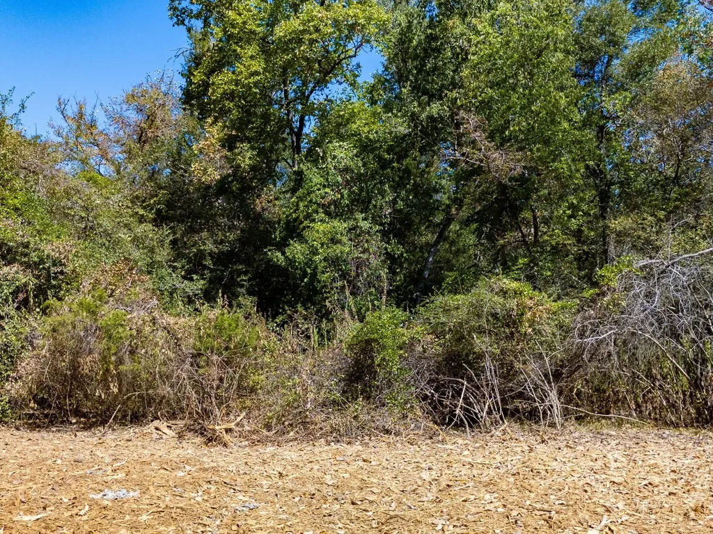 12047 County Road 414 Somerville TX 77879