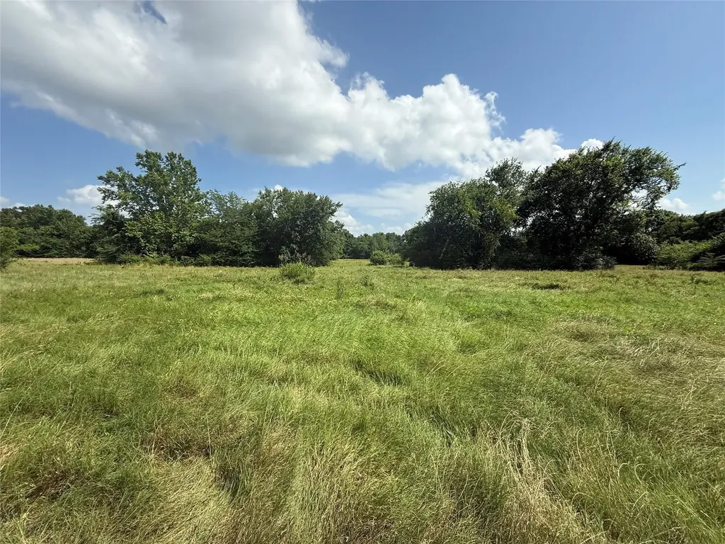 11591-2 Farm Road 269 S Pickton TX 75471
