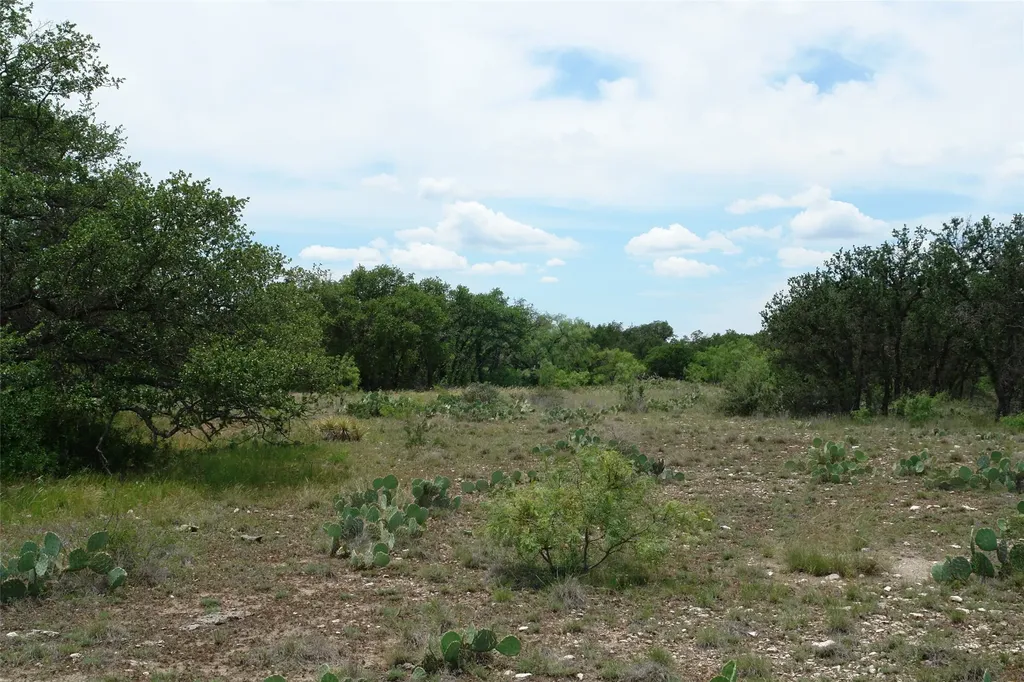 3135 Cr 4131 Eden TX 76837