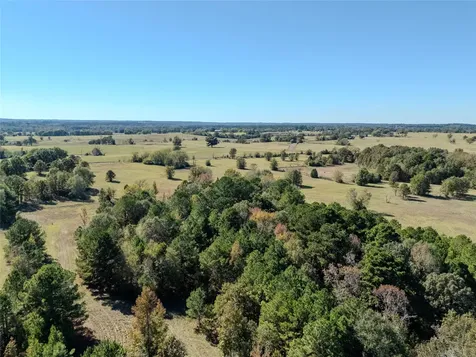 2895 County Road 118 Overton TX 75684