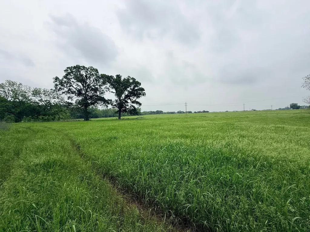 20 Acres Gathings Avenue Covington TX 76636