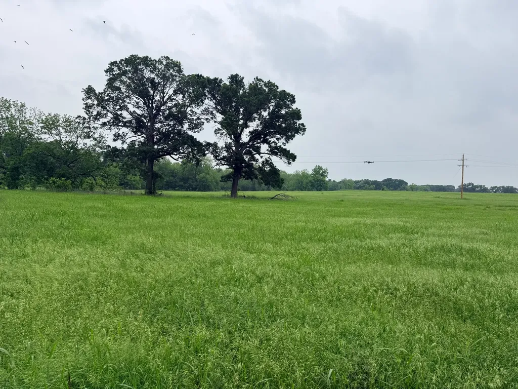 20 Acres Gathings Avenue Covington TX 76636