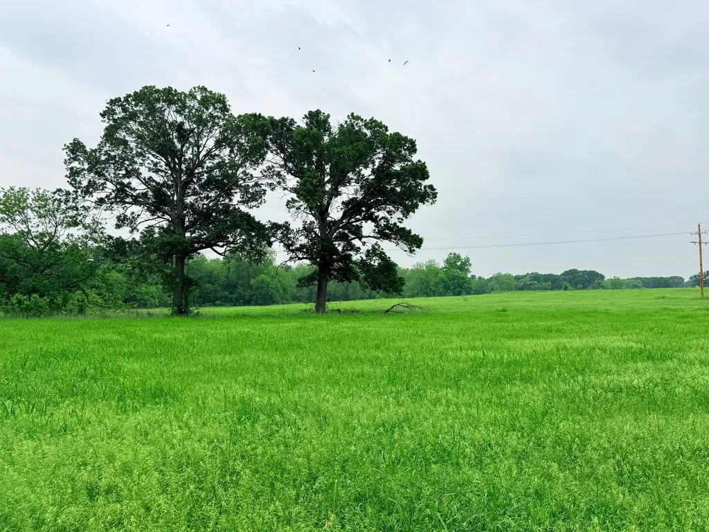 20 Acres Gathings Avenue Covington TX 76636