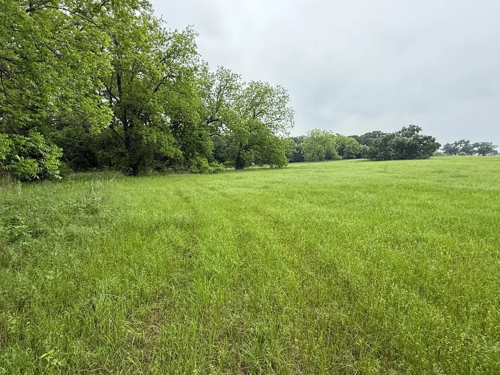20 Acres Gathings Avenue Covington TX 76636