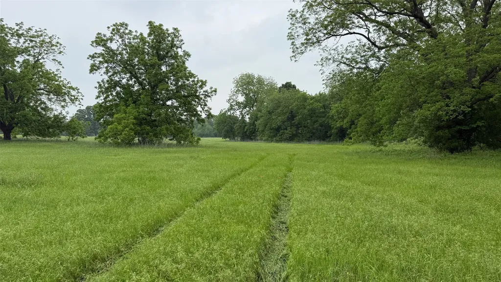 20 Acres Gathings Avenue Covington TX 76636