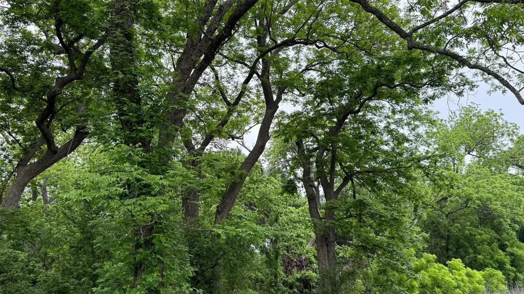 20 Acres Gathings Avenue Covington TX 76636