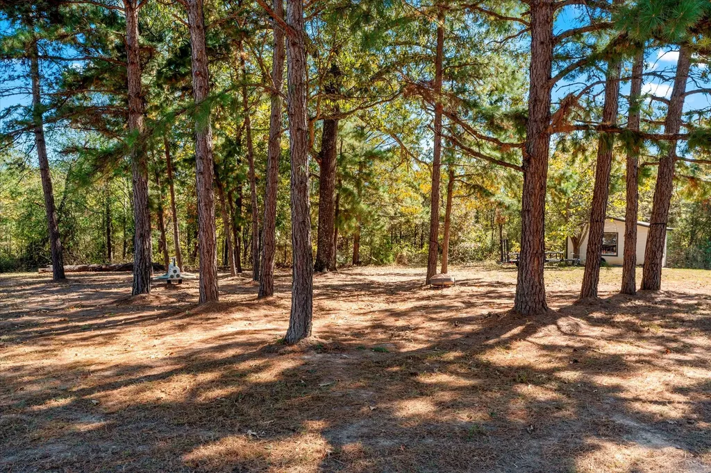 170 Pr 52423 Leesburg TX 75451