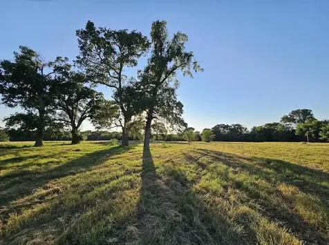 Tbd County Road 3512 Dike TX 75437