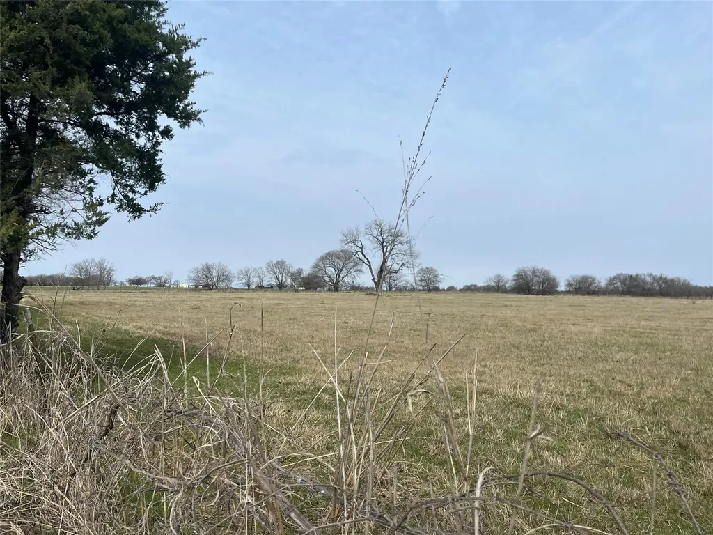 Tbd NW Cr 4010 Blooming Grove TX 76626