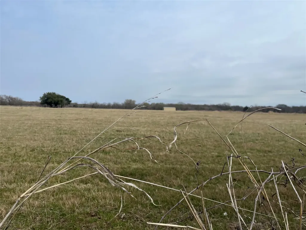 Tbd NW Cr 4010 Blooming Grove TX 76626