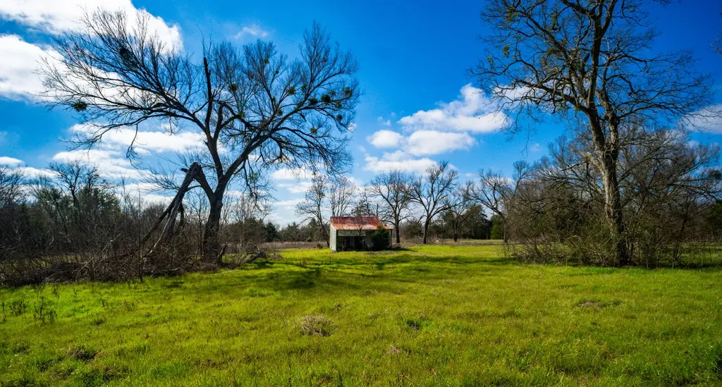 115 E Brazos Wortham TX 76693